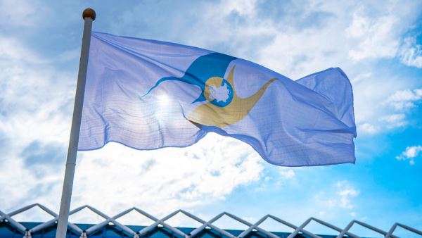 В ЕАЭС намерены установить беспошлинный порог на онлайн-заказы из-за рубежа
